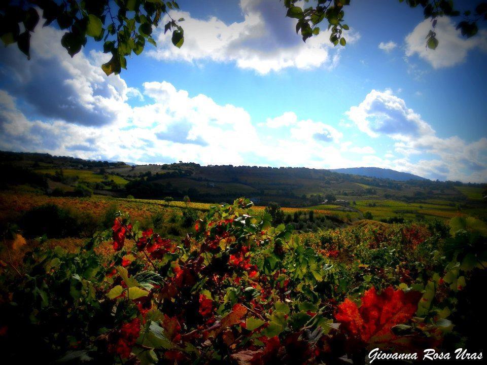 Pietro & Graziella Bed & Breakfast Sorgono Bagian luar foto
