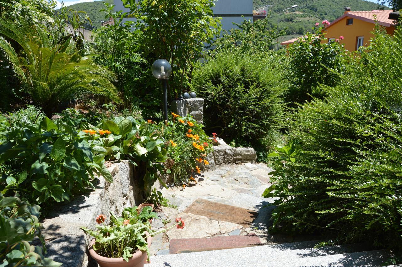 Pietro & Graziella Bed & Breakfast Sorgono Bagian luar foto